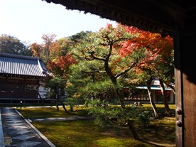 長寿寺境内の庭は綺麗に手入れが施されている。