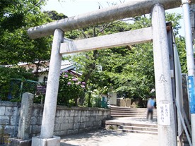 鎌倉最古とも伝わる甘縄神明神社の鳥居。