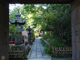 鎌倉観光スポット（梅） 安国論寺