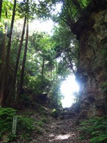 坂道を登り切ったところにある朝夷奈切通の鋭く切り立った崖。崖の上には根がむき出しになった木が生えており、今にも落ちてきそうな迫力。真下に立つのは危険。