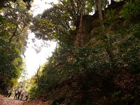 朝夷奈切通の頂上付近の様子。紅葉は見られないが鋭く切り立つ崖は相変わらず。