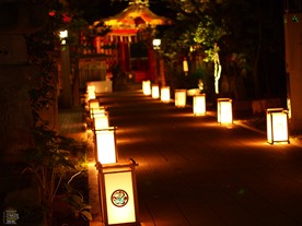 江島神社の境内もライトアップ。