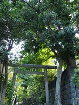 御霊神社には右脇にも鳥居があり、長谷寺から歩く場合はこちらの鳥居の方が近い。