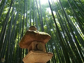 報国寺の竹林に置かれた石灯篭。