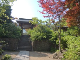 海蔵寺の山門前。季節は6月だが、右手に見える木は紅葉していた。山門前の階段は萩（ハギ）の名所としても有名。その様子は後述。