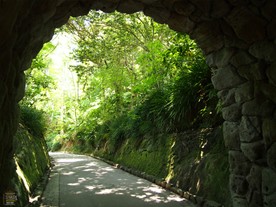 鎌倉文学館の入口から少し歩いたところのトンネル。訪れたのは６月上旬。トンネルを挟んで新緑が続く。