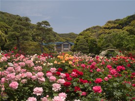 鎌倉・江の島の定番観光スポット 鎌倉文学館