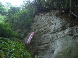 道は舗装されているが、最も崖が切り立つ部分の頭上には朝夷奈切通などと同じように木の根がむき出しとなっている。