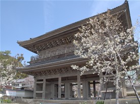 鎌倉でも特に大きな山門を構える光明寺