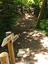 [4]案内板の表記は統一されていない場所もあるが、「葛原岡神社」を目指せばコースのほぼ中間にある源氏山公園にたどり着くことができる。（葛原岡・大仏ハイキングコース）