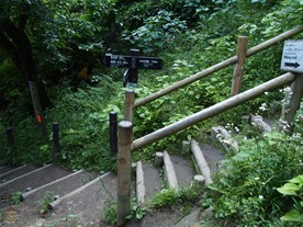 [13]大仏坂の通りへ下りる階段（コース出口）。佐助稲荷への分岐点[11]からの所要時間は寄り道時間抜きで約25分。右手方向に延びる階段を上って行くと「大仏切通」に行くことが出来る。（葛原岡・大仏ハイキングコース）