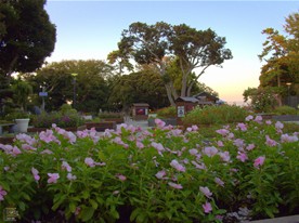 サムエル・コッキング苑の入口付近の様子。花壇の花によって彩られている。