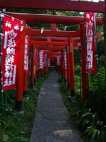 上社まで続く佐助稲荷神社の鳥居。ついそこまで住宅街だった景色が森の景色へと変わる。