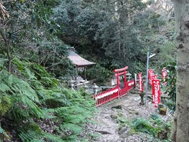 大仏ハイキングコースと佐助稲荷神社をつなぐ道から見た本殿。