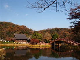 称名寺の隣には公園が隣接しているが、境内と公園をはっきりと区切る境界がなく、公園と境内が一体化したような形になっている。この写真は公園側から撮影したもの。