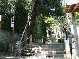 杉本寺は本堂まで階段が続く。