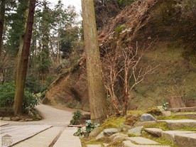 東慶寺境内の奥は背の高い杉と山肌が印象的。