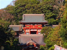 鎌倉のランドマーク的な存在の鶴岡八幡宮。
