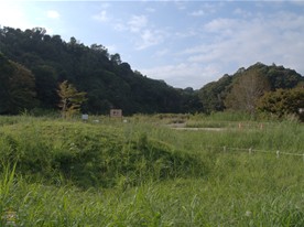 永福寺跡の敷地内。少しだけ遊歩道が整備されている。敷地内に設置されている鎌倉市教育委員会の案内板によると「史跡公園として整備中（2012年3月）」とのこと。
