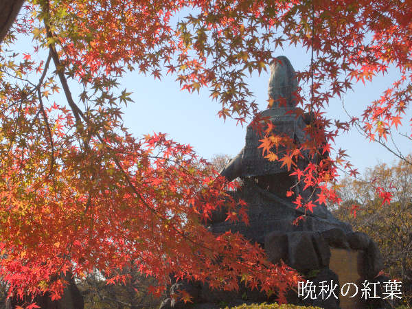 鎌倉観光（晩秋）紅葉のおすすめは円覚寺、長谷寺など